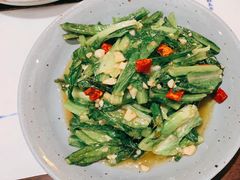 炝炒油麦菜-渔沧米缸·绍兴美食(万达店)