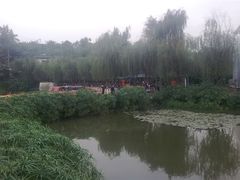 三圣乡-三圣花乡旅游区