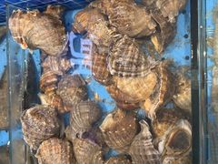 -渔港甄宴·海鲜·地标烟台菜(金沙滩店)