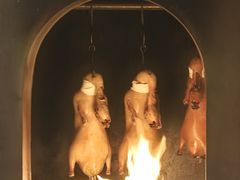 -秀儿四九城·新京菜(亚运村鸟巢店)