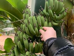 -第五季龙水凤港生态露营农场