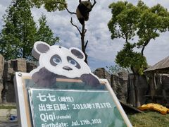 -上海野生动物园
