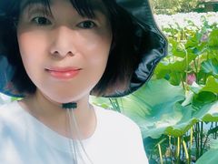 -陈家山荷花公园