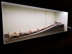 -世界恐龙谷景区