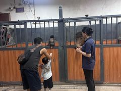 -骑乐马术(广州奥体优托邦中心)