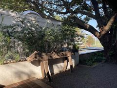 -喜洲吧·江畔老船厂·庭院餐厅(喜临院店)