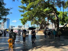 -苏小糖(鼓浪屿三丘田花园店)