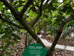 -歌斐颂巧克力小镇