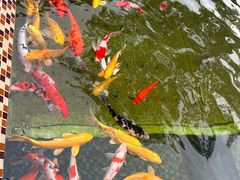 -杭州野生动物世界
