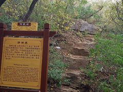-老象峰