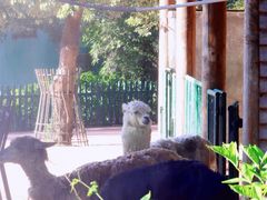 -无锡动物园·太湖欢乐园