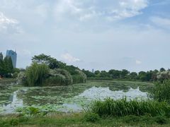 -无锡蠡湖国家湿地公园-蠡园