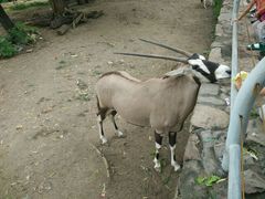 -辛玛王国游乐园