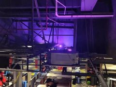 -威尔仕健身·游泳(古北店)