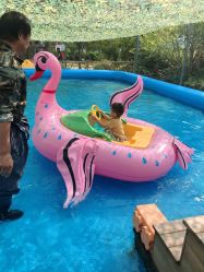 -萌宠亲子动物乐园(槐房万达店)