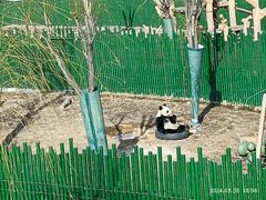 -沈阳森林动物园