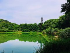 -青龙山国家森林公园