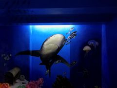 -船奇蒸汽海鲜·闽菜(八市海鲜总店)