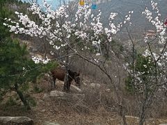 -天津盘山风景名胜区