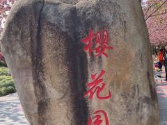-高东镇樱花园