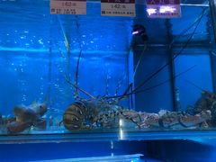 -协成海鲜火锅(海洋花园店)