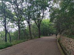 -紫金山山顶公园