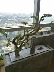 -松和日式美容整骨