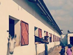 -松声马术俱乐部