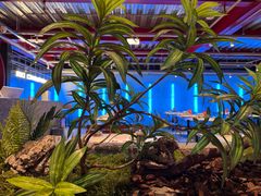 -肥肥虾庄·金牌油焖大虾(杨园滨江时代walk店)