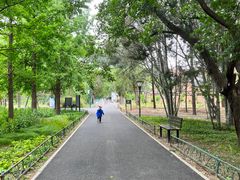 -国家植物园南园