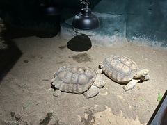 -天津zoonly动物主题公园