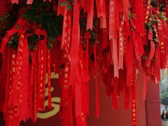 -广州莲花山旅游区