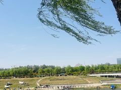 -洨河生态公园