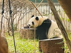 -广州动物园
