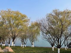 -天鹅湖体育公园