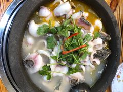 -大鼎石锅鱼(春江里店)