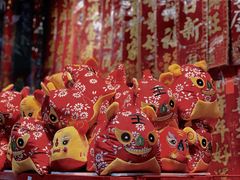 虎面桃花-盒马鲜生(曜一城店)