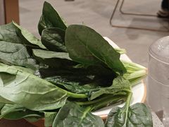 -海底捞火锅(龙岗星河COCO Park店)