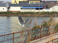 -竹林寺旅游风景区