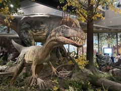 -湖南省地质博物馆