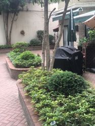 -M Nails & Beauty美甲美睫美体