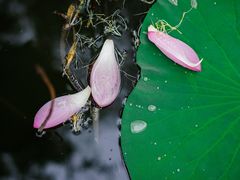 -麦隆咖啡(北大店)