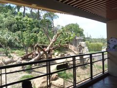 -宁波野生动物园