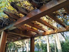 -徐家汇源景区-衡山公园