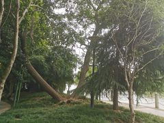 -南通濠河风景名胜区