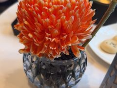 -香乐园·淮扬菜中餐厅·Shang Garden(福田香格里拉店)