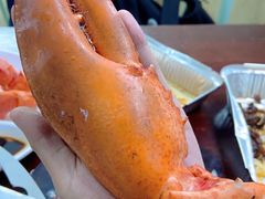 -强记龙虾钳(定安里店)