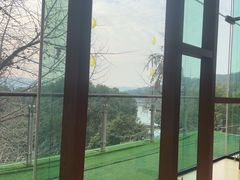 -逸廊大堂吧-下午茶·简餐-千岛湖自由洲际殿