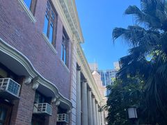 -香港大学