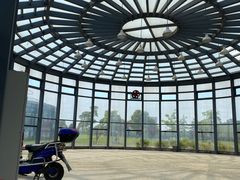 -鹦鹉洲湿地公园